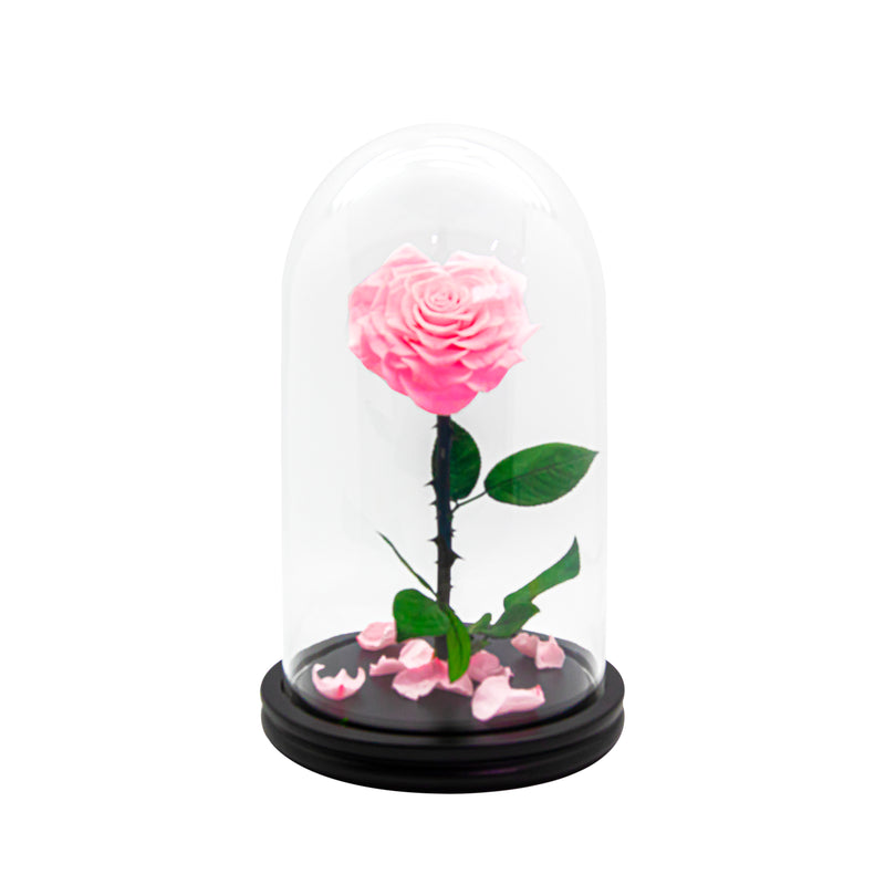Single Heart Rose in Dome Glass
