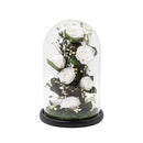 Freestyle Preserved Flowers in Glass Dome