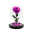 Single Heart Rose in Dome Glass