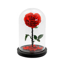 Single Heart Rose in Dome Glass
