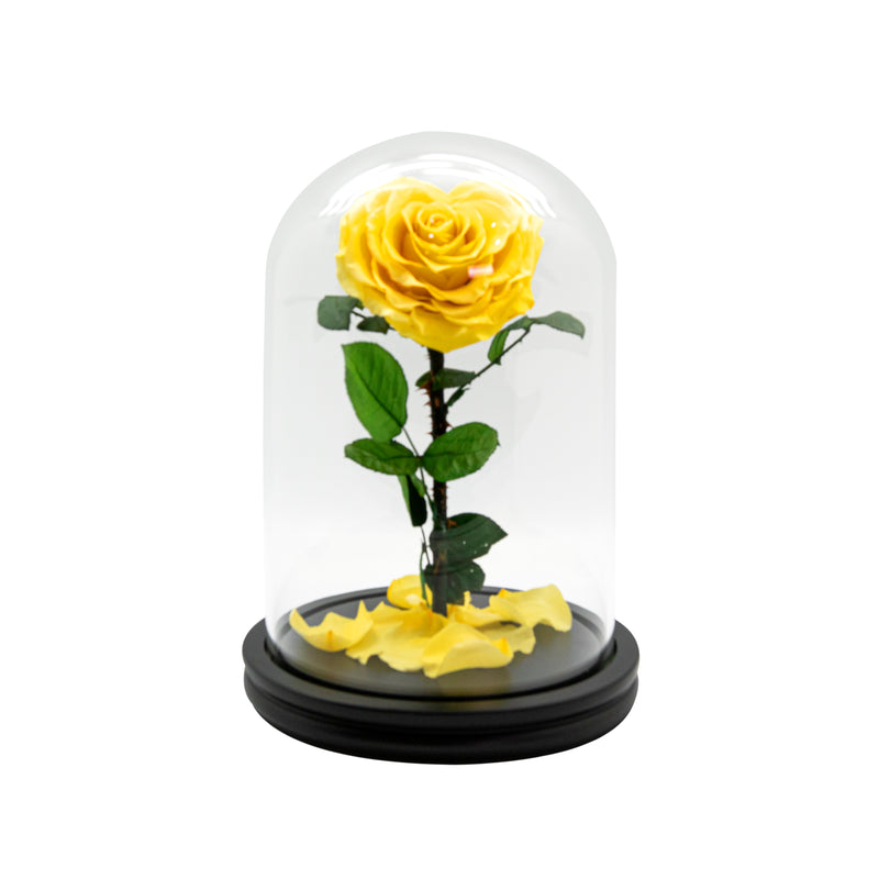 Single Heart Rose in Dome Glass