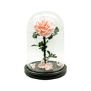 Single Heart Rose in Dome Glass
