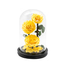 3 Preserved Roses in Dome Glass