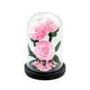 3 Preserved Roses in Dome Glass