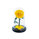 Single Rose Dome Small
