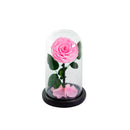 Single Rose Dome Small