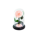 Single Rose Dome Small