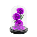 3 Preserved Roses in Dome Glass