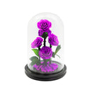 5 Preserved Roses in Dome Glass