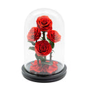 5 Preserved Roses in Dome Glass