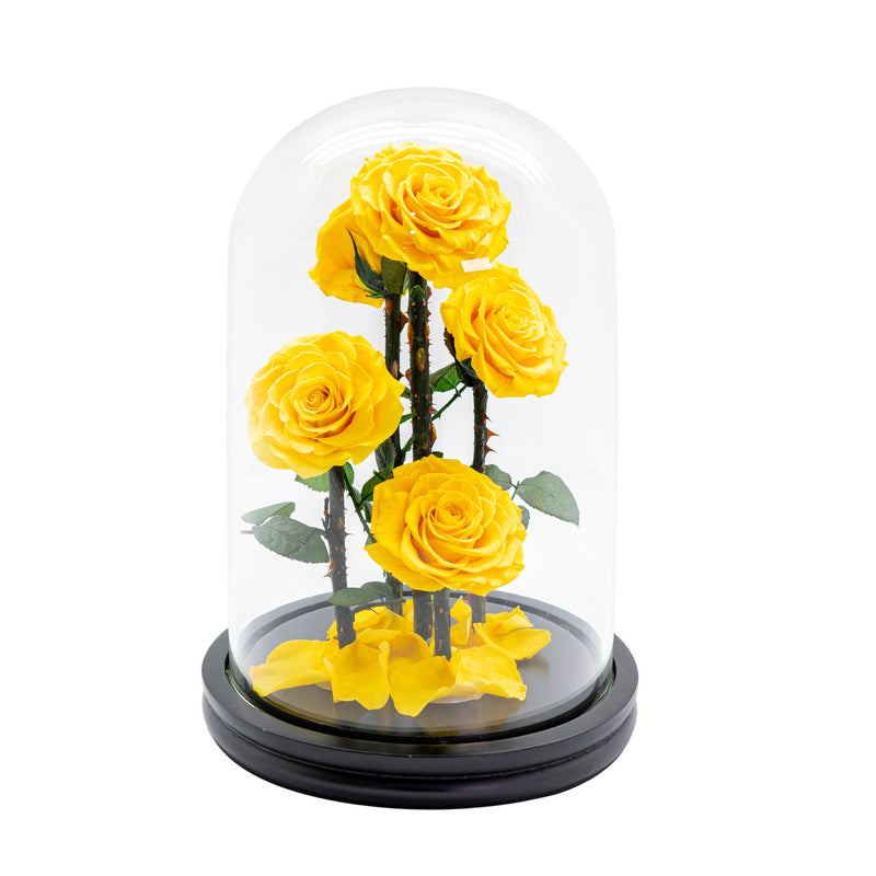 5 Preserved Roses in Dome Glass