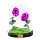 Double Rose U-Type Dome