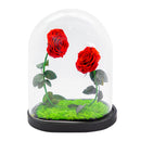 Double Rose U-Type Dome