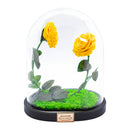 Double Rose U-Type Dome