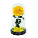 Single Rose Dome Medium