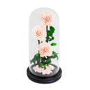 Triple Rose Dome Medium