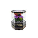 Rotating Hexagon Box