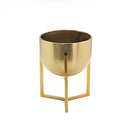 Gold Flower Planter