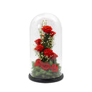 Freestyle Preserved Flowers in Glass Dome