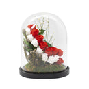 Freestyle Preserved Flowers in Glass Dome