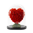 Freestyle Preserved Flowers in Glass Dome