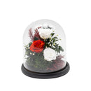 Freestyle Preserved Flowers in Glass Dome