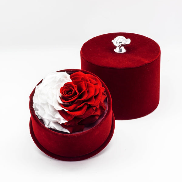 Heart-shaped Rose in a Stylish Round Box